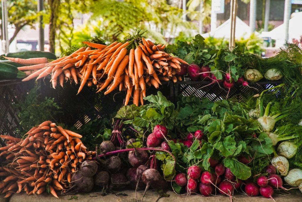 Image of Radish And Carrots