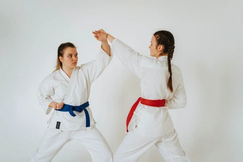 Image of Karate Punch and Defense